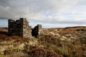 ponden moor 11 sm.jpg